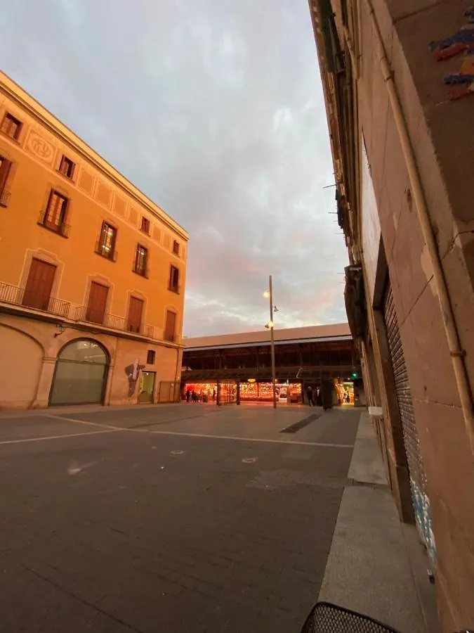 Bed & Breakfast Vegan En Acogedor Apartamento En El Centro De Barcelona